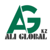 aliglobalkz.com